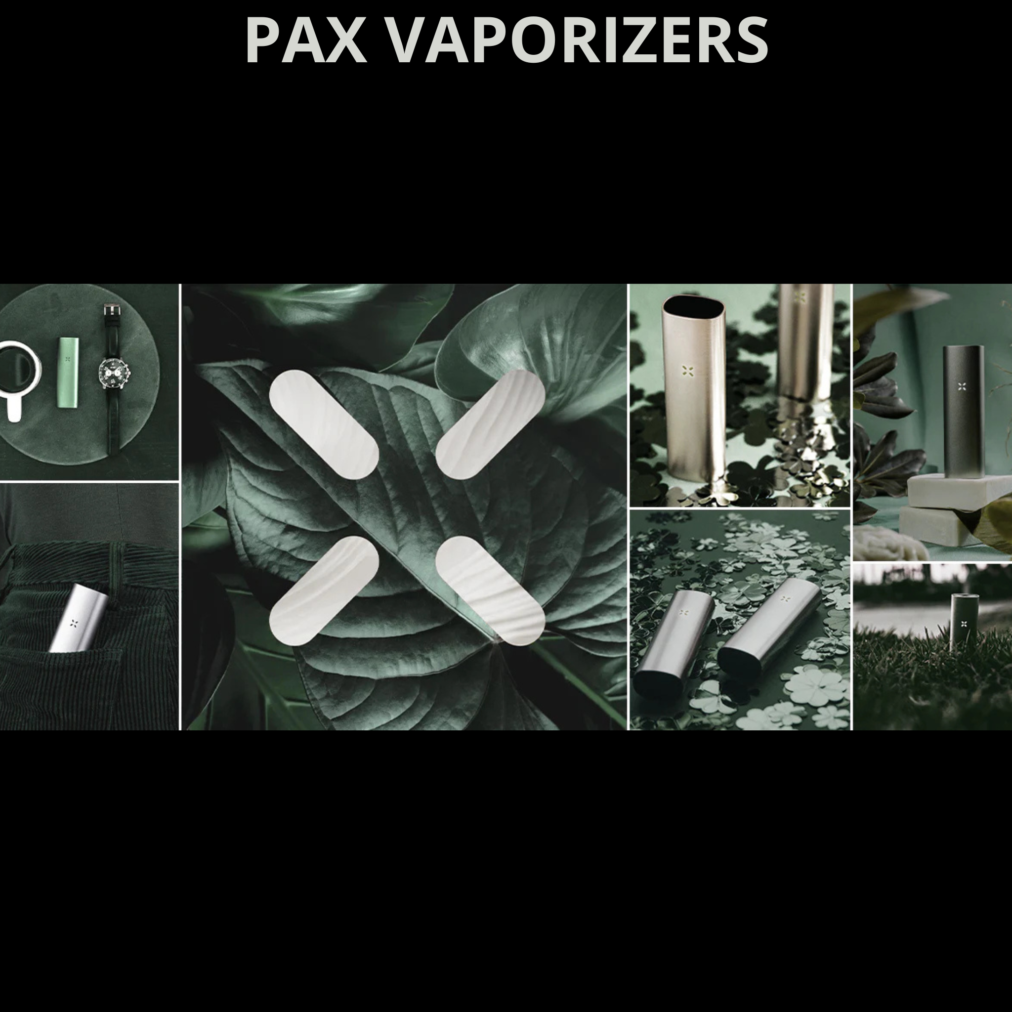 PAX